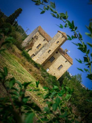 Le Domaine de Pépé