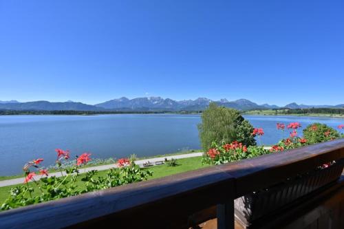 Apartment Forggensee with Lake View 520