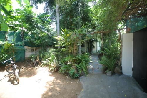 Exotic Garden Homestay