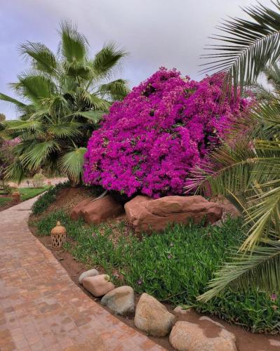 Eden Lodges & SPA - image 2