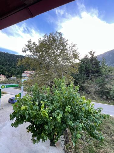 주변 환경, 7Hills by Life Houses in 에프탈로포스