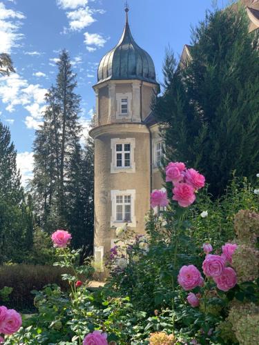 Schloss Hürbel Storchennest-Appartement - Luxury Apartment THE Stork Nest