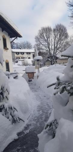 Hotel Alter Wirt - image 12
