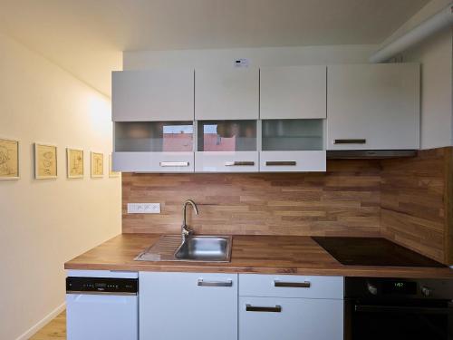 Apartment Harrachov 377 by Interhome in ฮาร์ราชอฟ