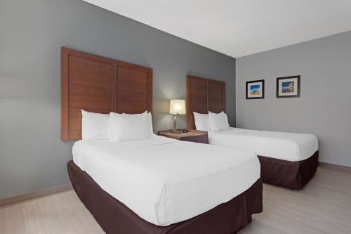 Comfort Inn & Suites Bwi Airport - image 11