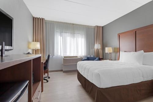 Comfort Inn & Suites Bwi Airport - image 6