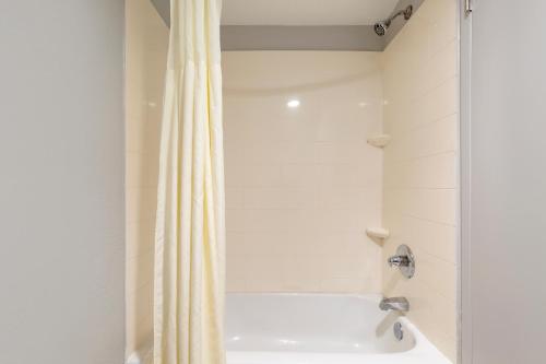 Comfort Inn & Suites Bwi Airport - image 10