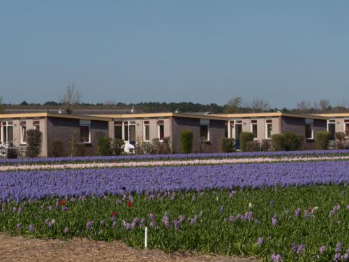  Holiday Home De Wijde Blick by Interhome in 2211 ZC Noordwijkerhout