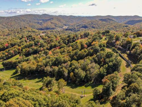 Aspen View