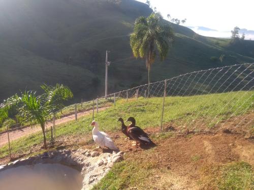 Lugar Lindo em São Ludgero SC, Sitio Gruner Berg