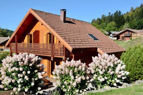 Le Murmure du Ruisseau, beau chalet avec terrasse - Location, gîte - Xonrupt-Longemer