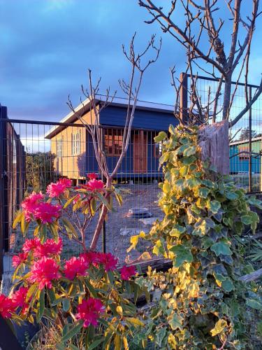 Cabañas de Campo MARBAJA