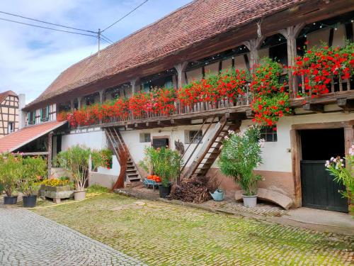 Chambres d'hôtes de charme à la ferme Freysz