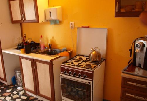 virtuve, Pension Zamolxe in Retezat