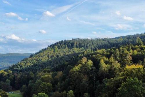 Wohnen im Schwarzwald mit Panoramablick