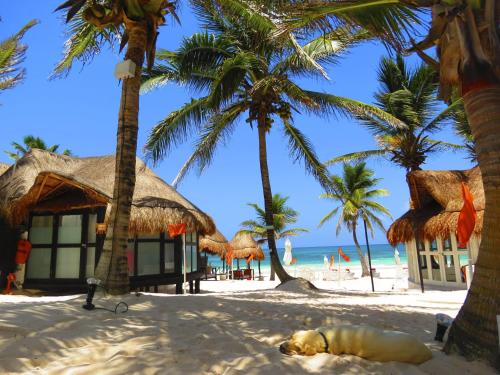 10 Best Tulum Hotels: HD Photos + Reviews of Hotels in