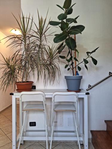  Cozy home with parking & wi -fi in Marina di Ravenna