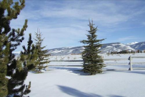 Darby Cabin Driggs Teton County