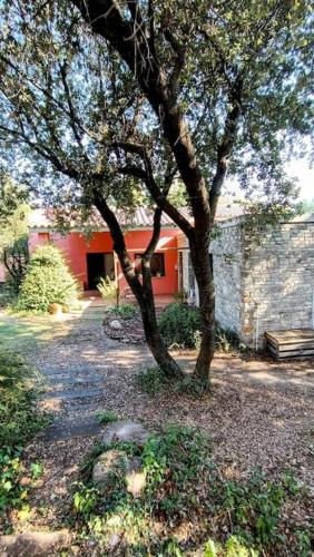 Casa de invitados in La Torre De Claramunt