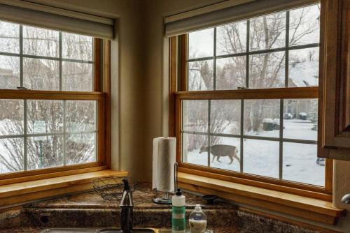 Stone Ridge Townhome unit 29 in Driggs, USA