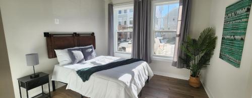 Luxury in Fredericksburg in 弗雷德里克斯堡市中心