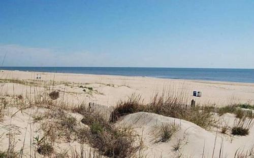 Dolphins Den in Virginia Beach, USA