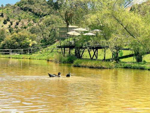 Los Lagos de Jasú Los Lagos de Jasú