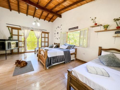 Los Lagos de Jasú Los Lagos de Jasú