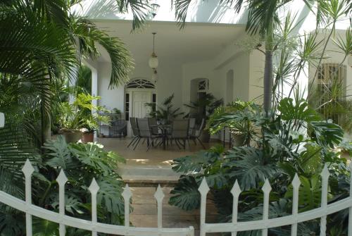 casa damiana in Mérida, Mexico