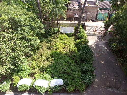 花園