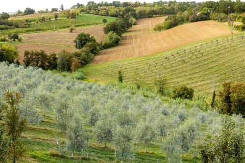 Country House Oliveto sul Lago