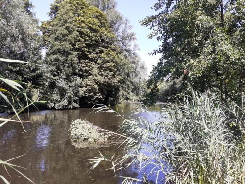 Kalbe Milde, Ferienwohnung Altmark