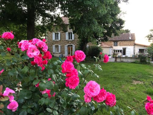 B&B Malaussanne - Maison Piffou - Bed and Breakfast Malaussanne