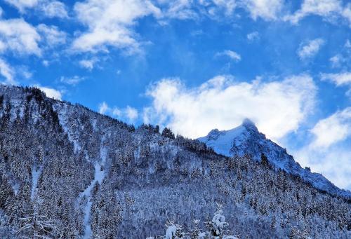 White Pearl Vue Mont Blanc - Location saisonnière - Chamonix-Mont-Blanc