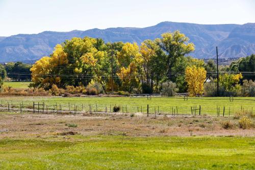 Cortez Retreat with Office and Stunning Mtn Views