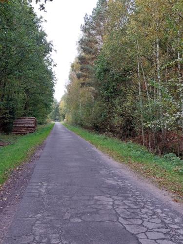 Ferienwohnung am Drömling Südheide - Gerda