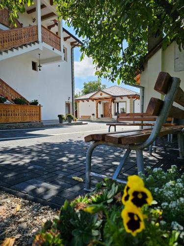 Drag de Maramureș - Accommodation - Ocna Şugatag