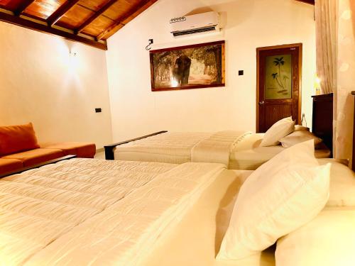 Wilpattu Blue Sapphire lite - B&B