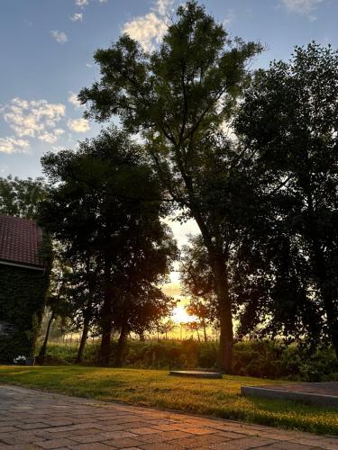 De Verborgen Parel - image 12