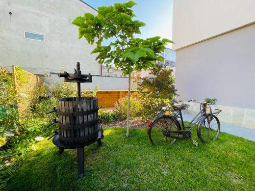 Casa Piero - villetta con piscina ad Alba, Langhe