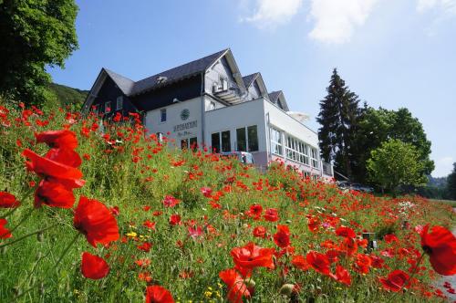 B&B Olsberg - Waldhotel Schinkenwirt - Bed and Breakfast Olsberg