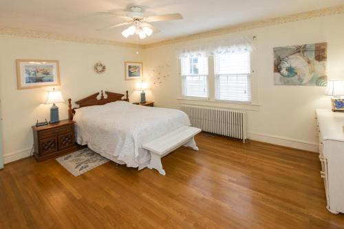 Sea Dog - Resort Area VB - image 3
