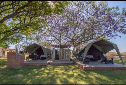 Bambi Lodge in Grootfontein