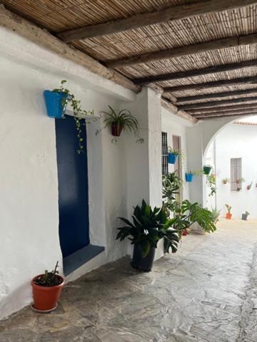 Ieeja, Casa Alondra in El Gastor