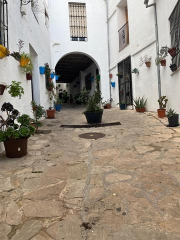 Ieeja, Casa Alondra in El Gastor