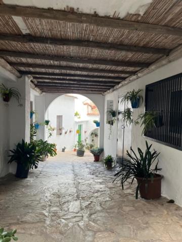 Ieeja, Casa Alondra in El Gastor