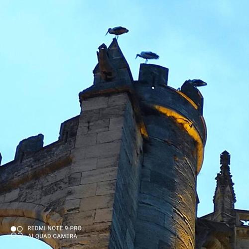 Appartement Mairie de Narbonne