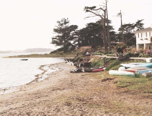 Back Bay Inn - image 8