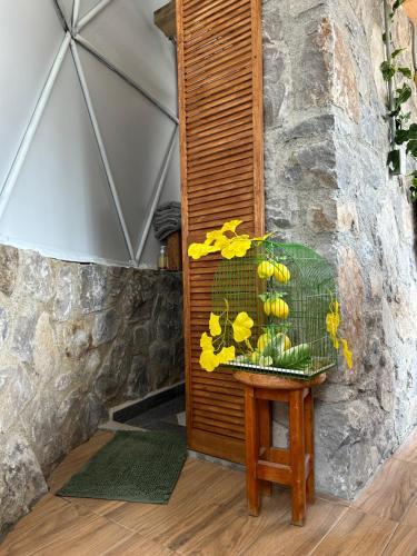 Glamping de lujo en Huasca in Huasca de Ocampo, Mexico