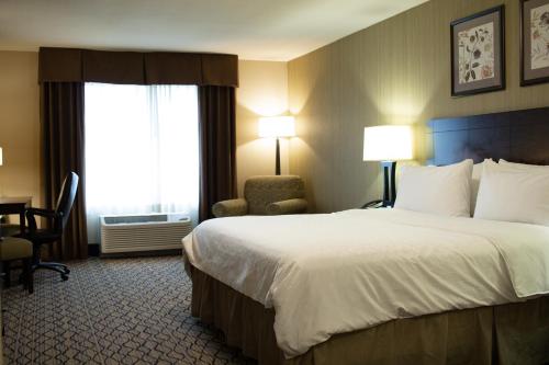 Holiday Inn Express & Suites - Williston an IHG Hotel - image 8